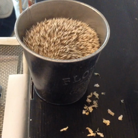 ハリネズミ バケツから…の画像