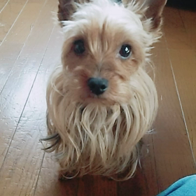 ワンプロ終了でおつかれの画像