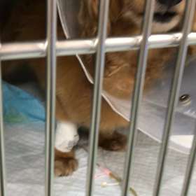 2018年5月16日 入院3日目の画像