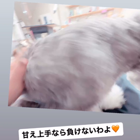 2022年11月11日：トリミングの画像