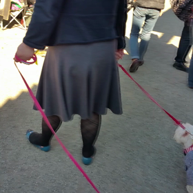 生中継　wp2015の画像