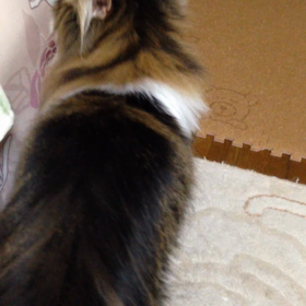 二度寝って恐ろしい（笑）の画像