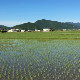 丹波篠山の初夏の画像