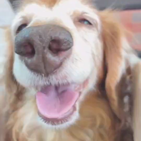 れもねーどくん旅立つ時間の変更です。の画像