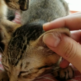 ありがとうを込めての画像