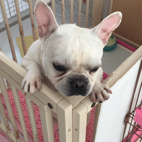 第１土曜日のルーティンの画像