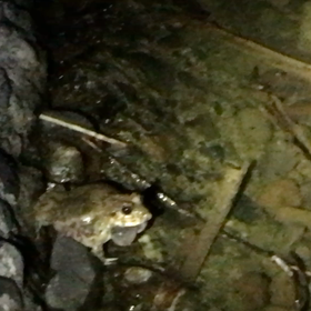 止まらないの画像