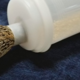 餌入れに…❗の画像