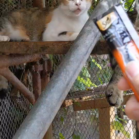 もぅ少しの画像