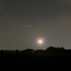 迫力動画入手の画像