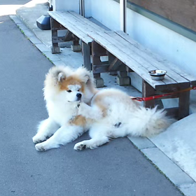 2019/05/22 今日のソフトクリーム、他の画像