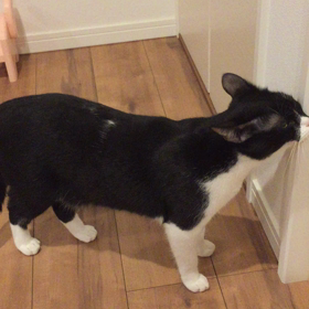 あけてよ〜♡の画像