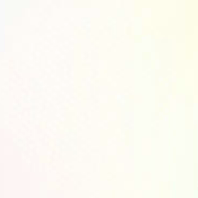 コタフク散歩動画！の画像