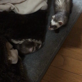 おっ！！の画像