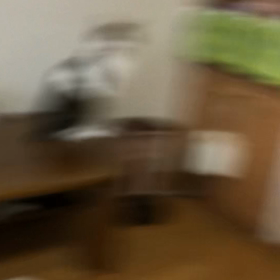 寂しいジム活夜部！ミステリと言う勿れ。デッデール！二度見したよ。笑猫動画。の画像