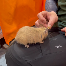 動物プロダクションの日常。の画像