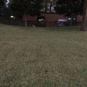 キキのダッシュの画像