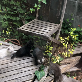 幸せ見つかれの画像