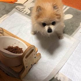 朝の爆睡の画像