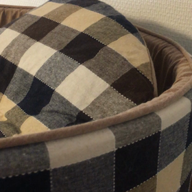 またまたびっくり箱！の画像