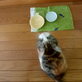 すみれちゃん❤️の画像