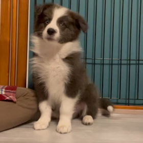 無理矢理感・・・の画像