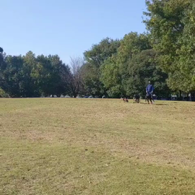 チャレンジカップリレー練習 36の画像