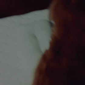 夫のヘッドスパで…の画像