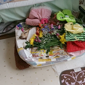 ほんとに最後のお別れ…の画像