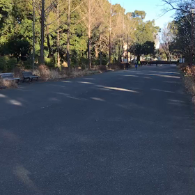 選考会 その３の画像