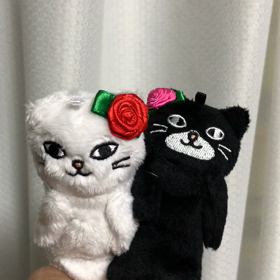 ペッコリおじぎ草の画像