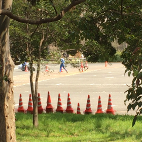 将来お世話になりませんように。の画像