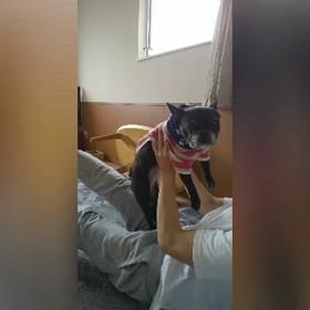 RUN&カラテ修行7-192の画像