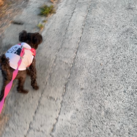 ルンルン♪♪の画像