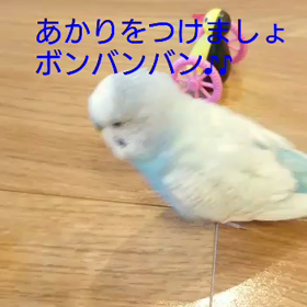 歌いながらご機嫌❤️の画像