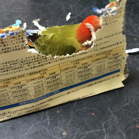 ドラマ　さくらの親子丼の画像