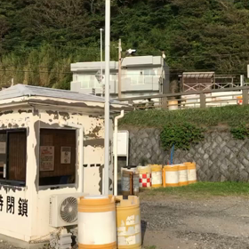 まだまだ元気な蝉の声！の画像