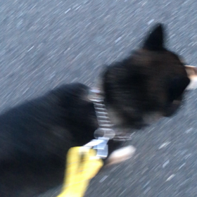 見て見てっ❤︎の画像