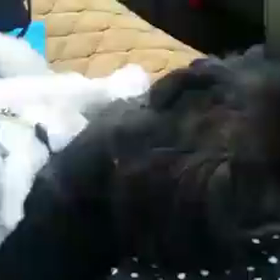 会いたいの画像