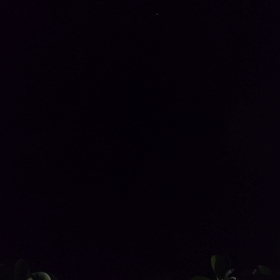 ふたご座流星群の画像