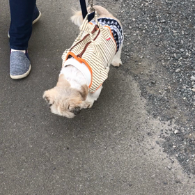 なるとなく結論の画像