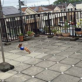 屋上を走るの画像