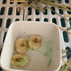 注射２本と点滴受けてきましたの画像