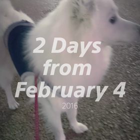 ハイライトムービーの画像