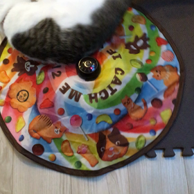 D20 復活！の画像