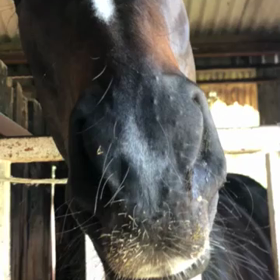 スタッフ清水の呟き【不定期更新】の画像