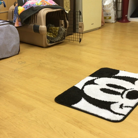 レオ編。の画像