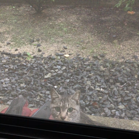 安らいだ１日。の画像