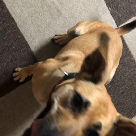 内閣総理大臣佐藤栄作！の画像