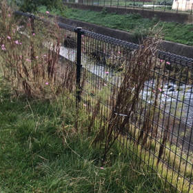 めげないでね！の画像